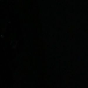 Meet your Posher, Gavin